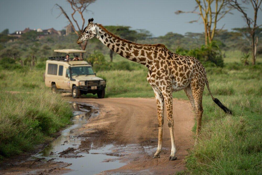 Manyara details
