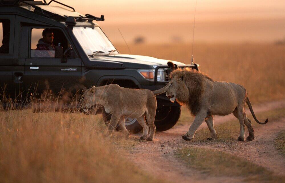 Mara details