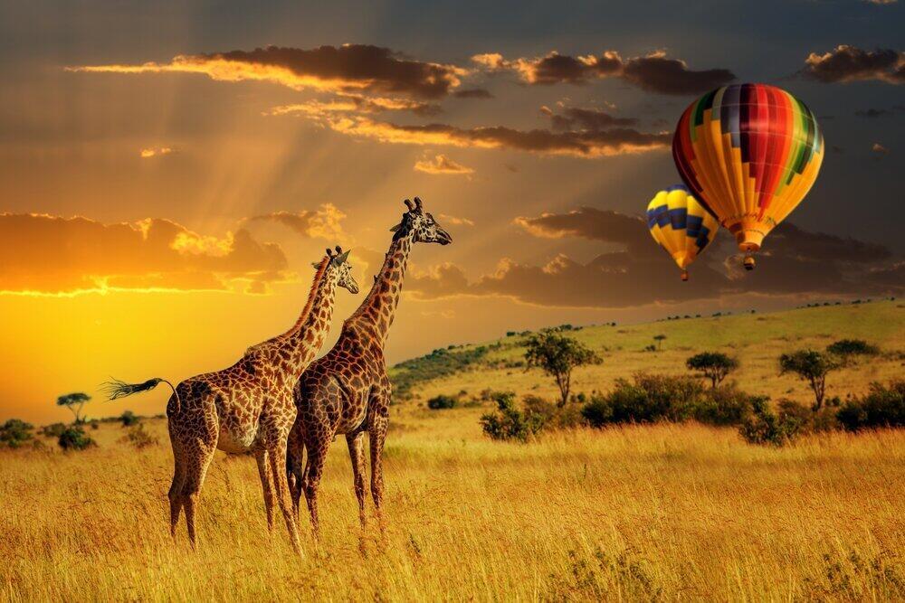 destination
