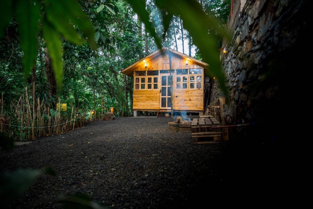 Banana Farm Eco Hostel