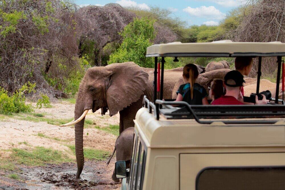 Arusha National Park