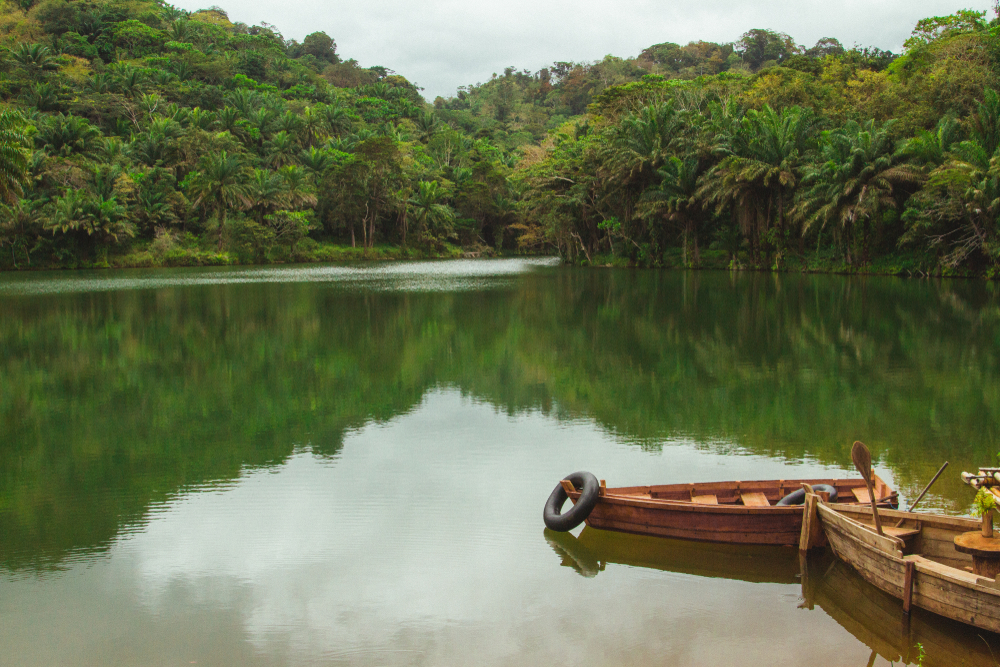 Magoroto Forest