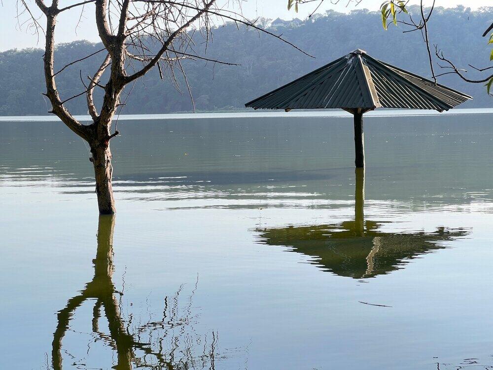 Lake Duluti Forest
