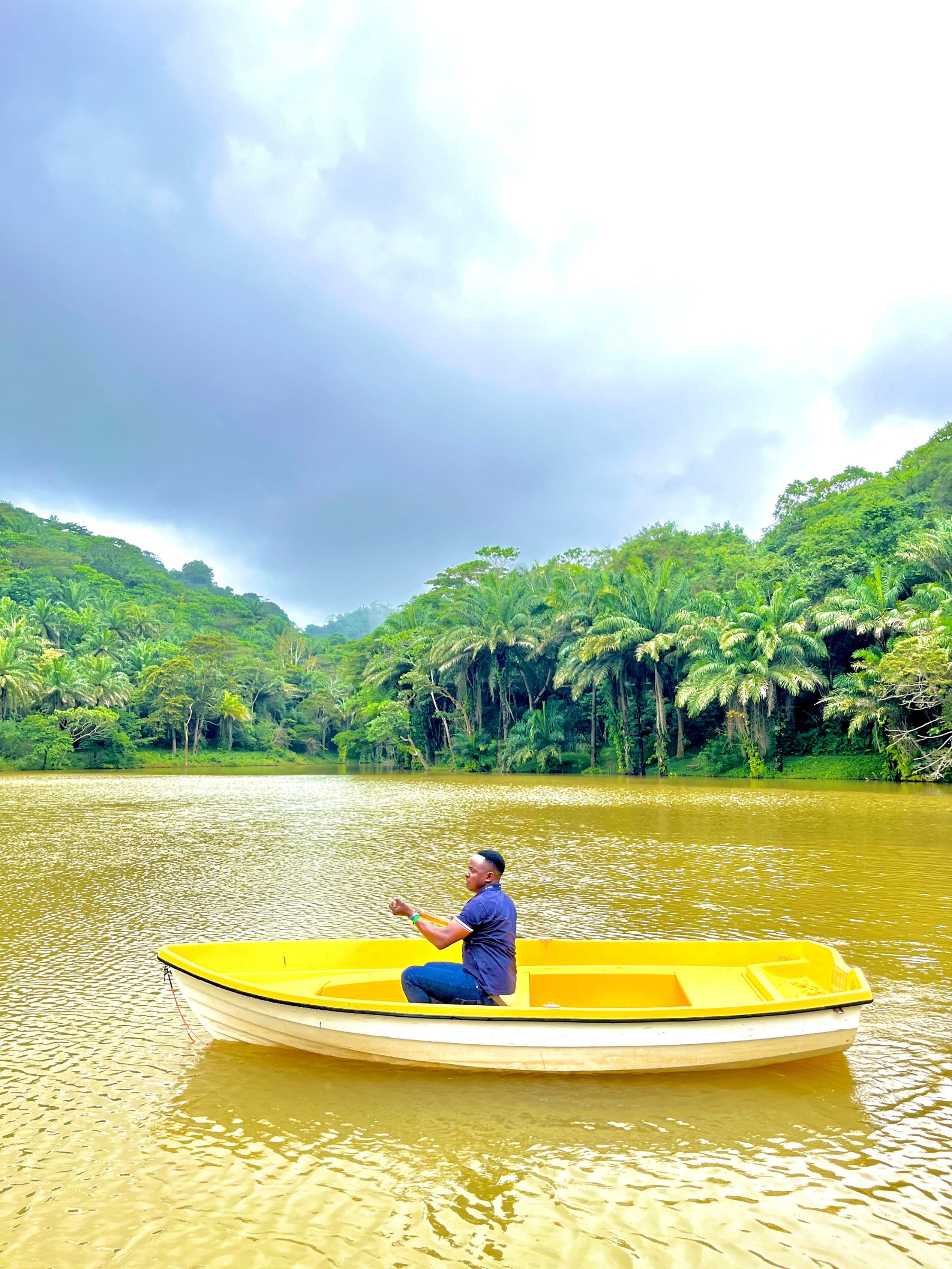 Magoroto Forest