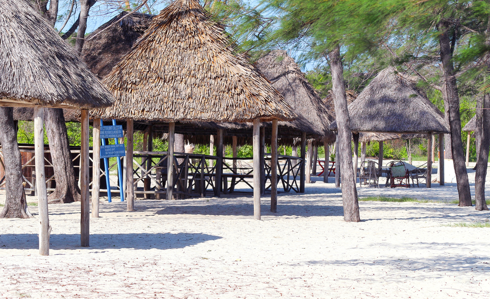 Mbudya Island