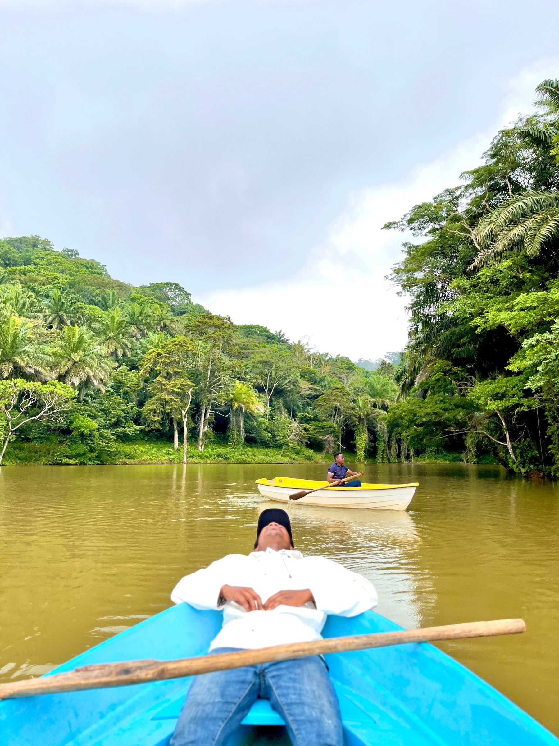 Magoroto Forest