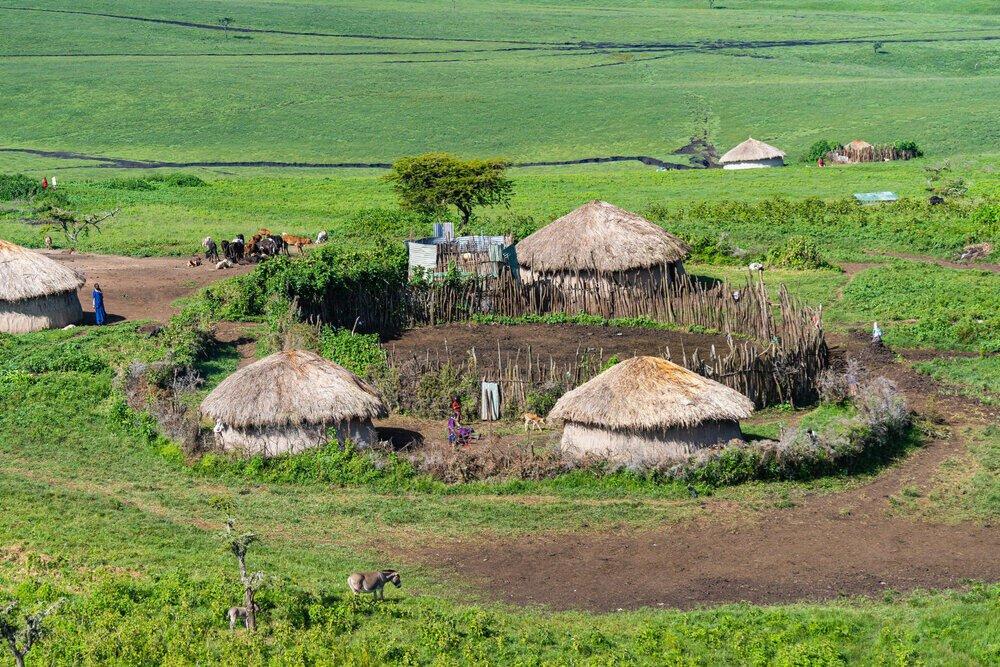 6 Days Tanzania Wildlife Safari Experience