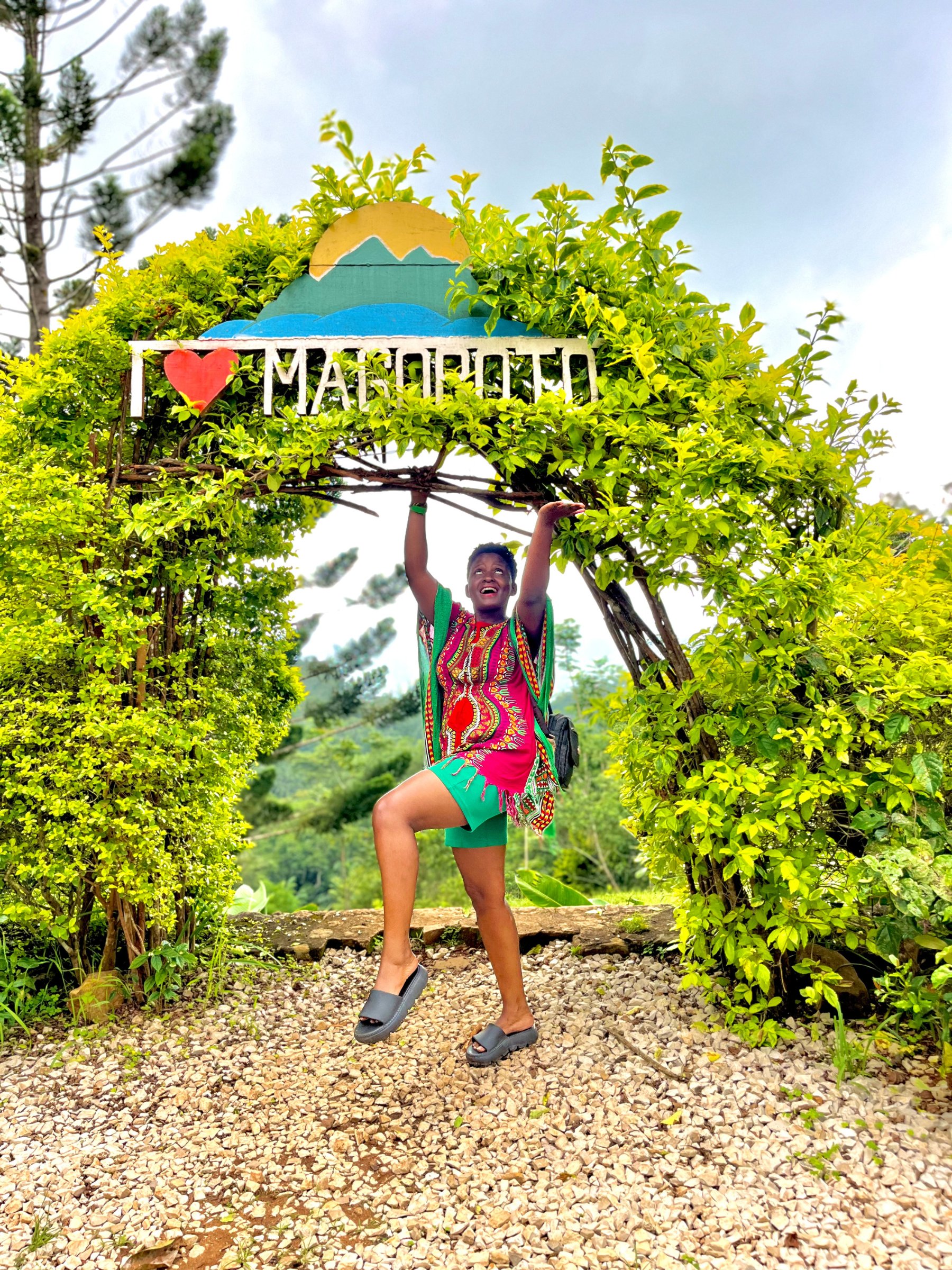 Magoroto Forest