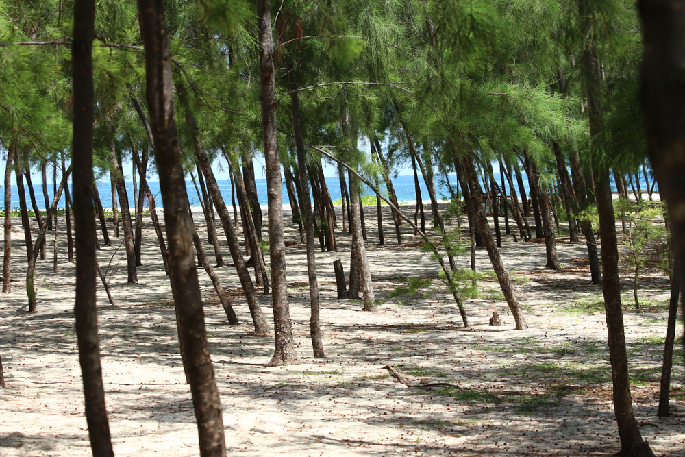 Mbudya Island